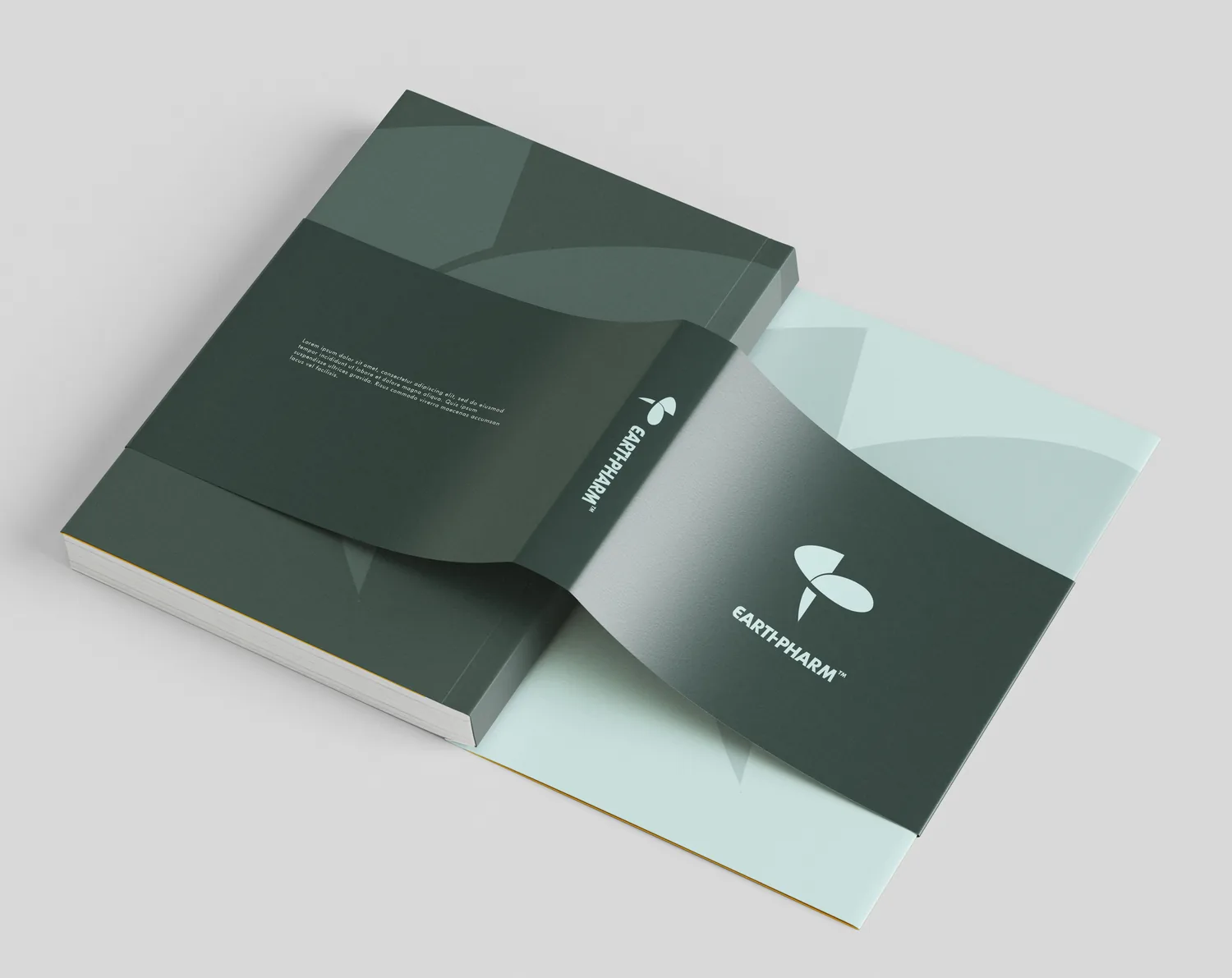 The brand book, with the mark and name on a deep green cover, as designed