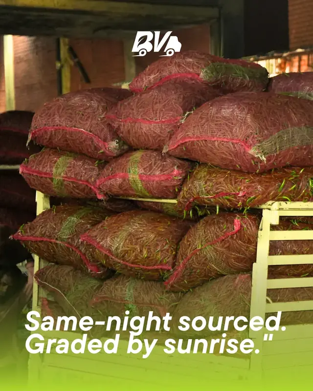 Same-night sourced. Graded by sunrise.