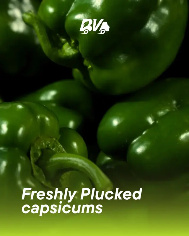 Freshly plucked capsicums