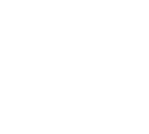 The mark in white on the secondary colour